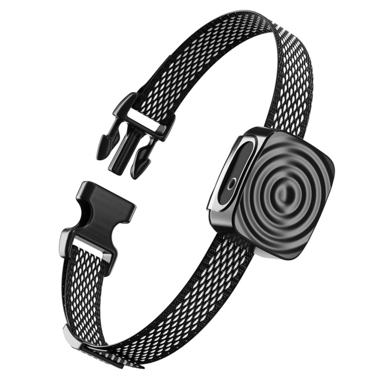 Antibellhalsband für kleine Hunde