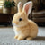 CozyHop Bunny