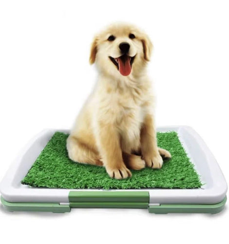 Hundetoilette mit Kunstrasen