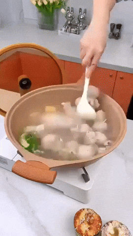 VEGA - UltraSmart Wok Pro mit Dampfgareinsatz