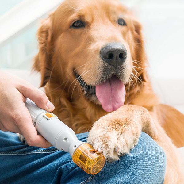 Karnz | Premium schmerzfreier Nageltrimmer für Haustiere - Alle Hunderassen & Katzen