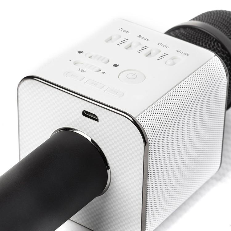 Karaoke-Mikrofon Bluetooth mit Lautsprecher | Karnz