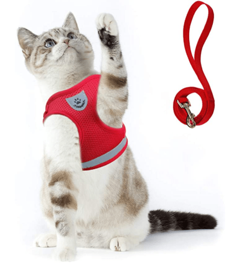 ABENTEUER-KABELJAU – Ausbruchsicheres Katzengeschirr mit Leine und reflektierenden Elementen
