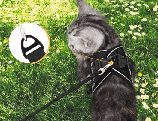 ABENTEUER-KABELJAU – Ausbruchsicheres Katzengeschirr mit Leine und reflektierenden Elementen