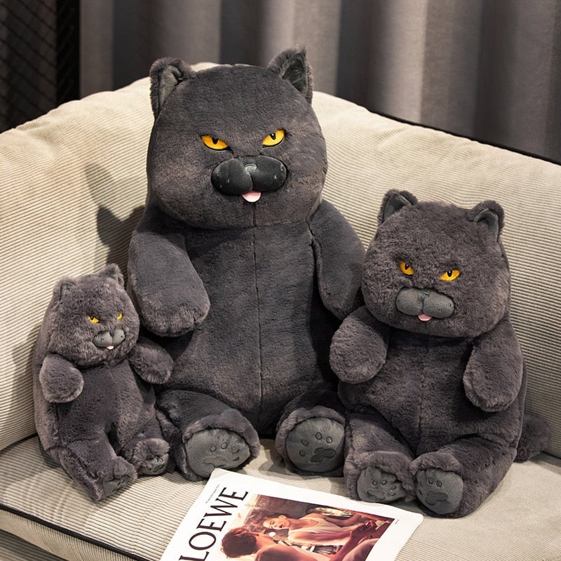 Karnz | Poe die grimmige Katze Plüschfigur