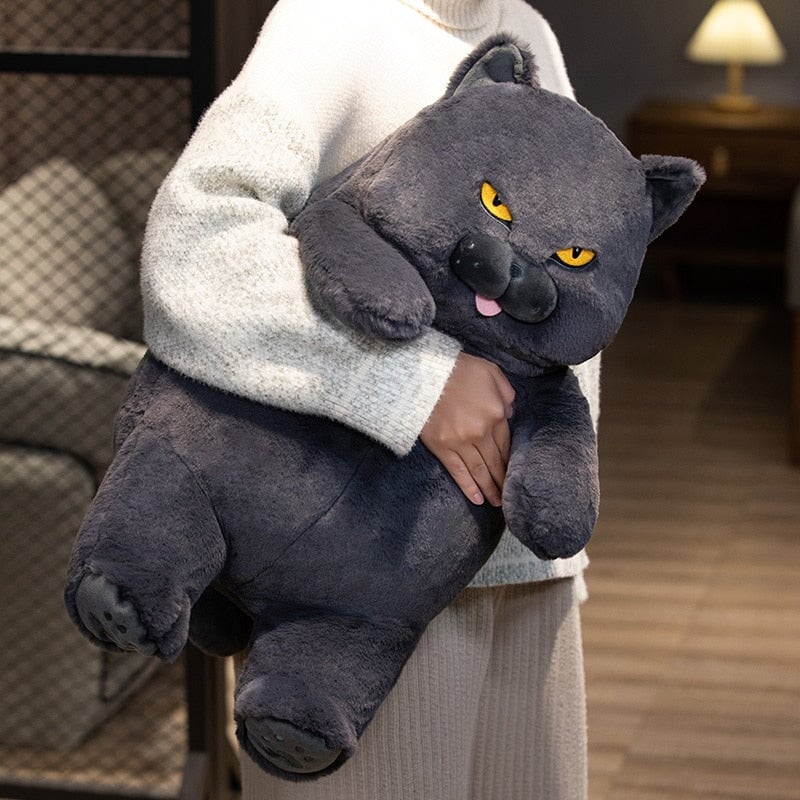 Karnz | Poe die grimmige Katze Plüschfigur