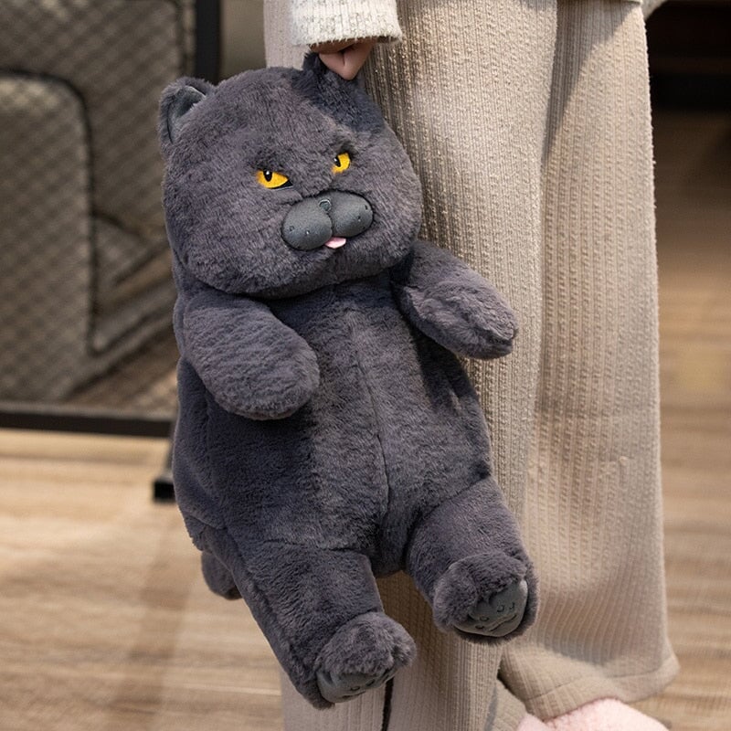 Karnz | Poe die grimmige Katze Plüschfigur
