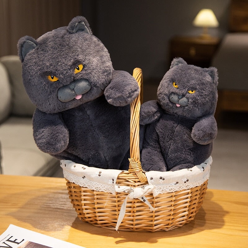 Karnz | Poe die grimmige Katze Plüschfigur