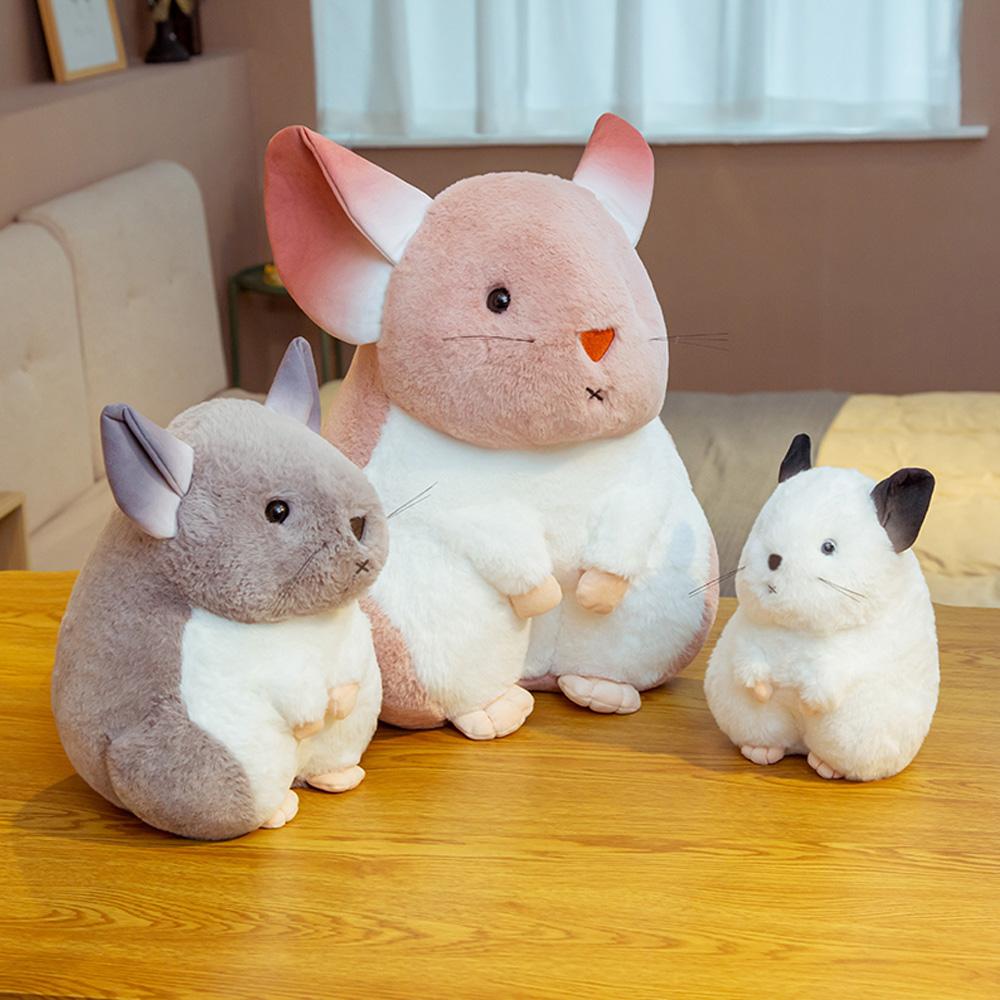Karnz | Flüsternde Chinchillas