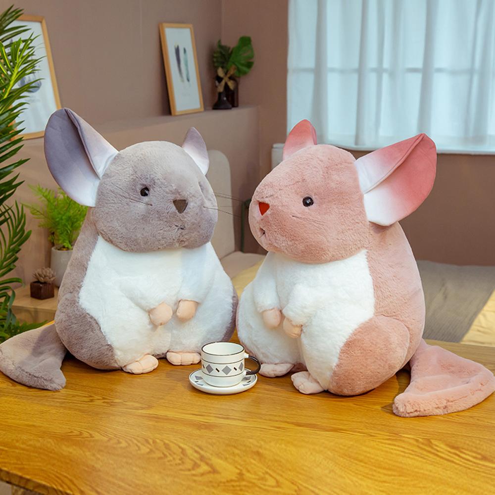 Karnz | Flüsternde Chinchillas