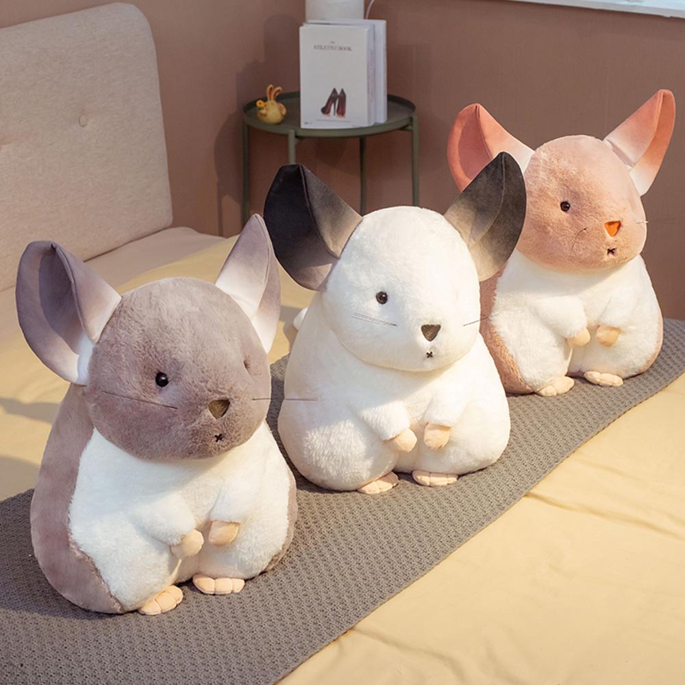 Karnz | Flüsternde Chinchillas