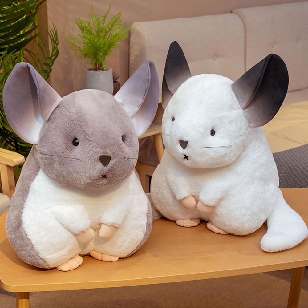 Karnz | Flüsternde Chinchillas