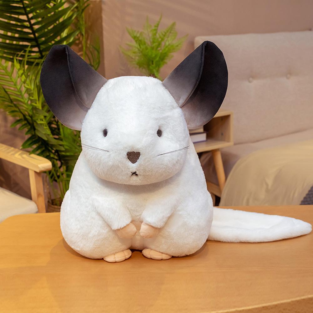 Karnz | Flüsternde Chinchillas