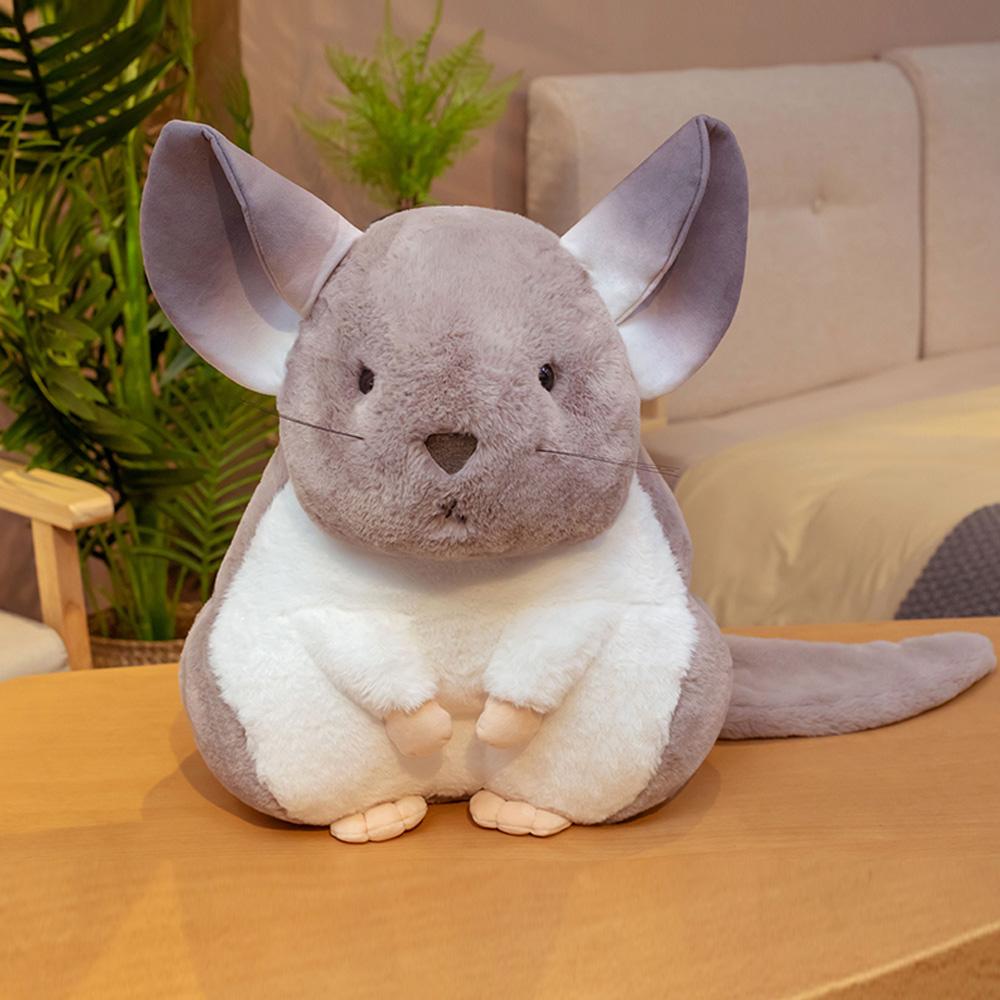 Karnz | Flüsternde Chinchillas