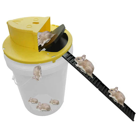 Wiederverwendbare Lebendfalle für Mäuse & Ratten | Karnz