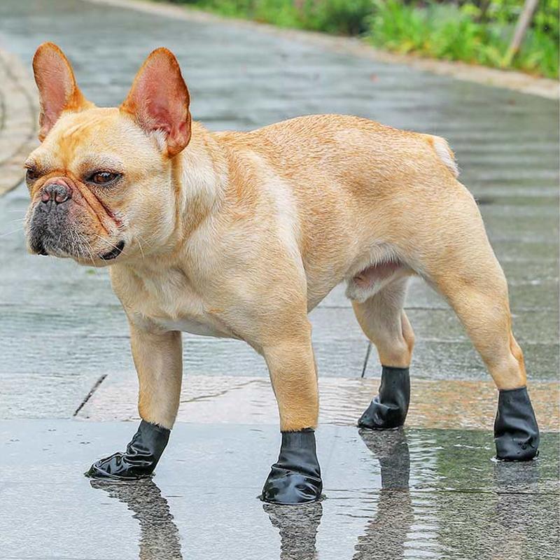 Karnz | PootShield Wasserdichte Hundeschuhe mit Grip und schützendem Komfort