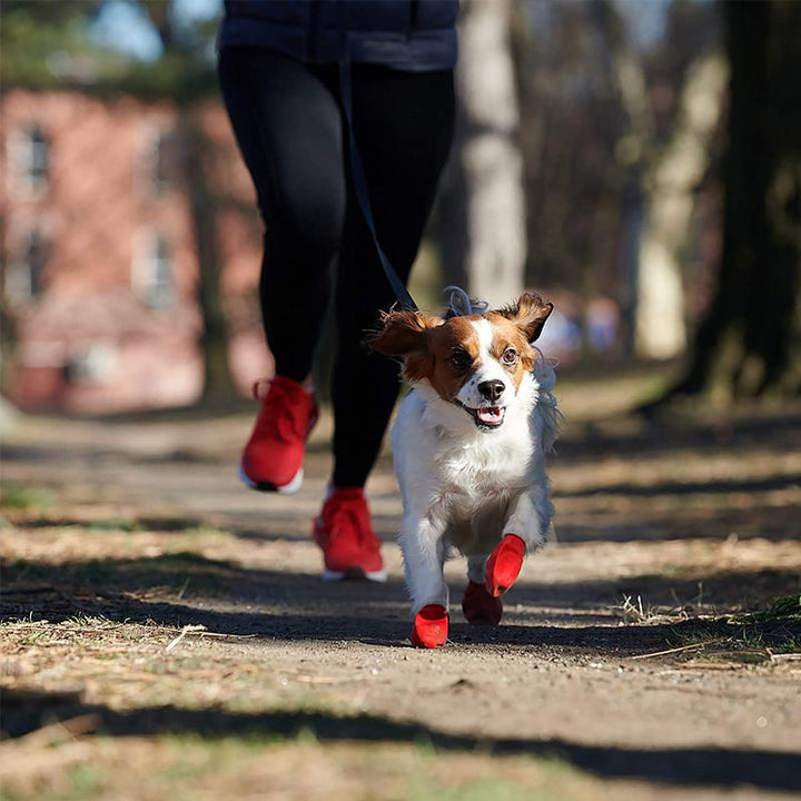 Karnz | PootShield Wasserdichte Hundeschuhe mit Grip und schützendem Komfort