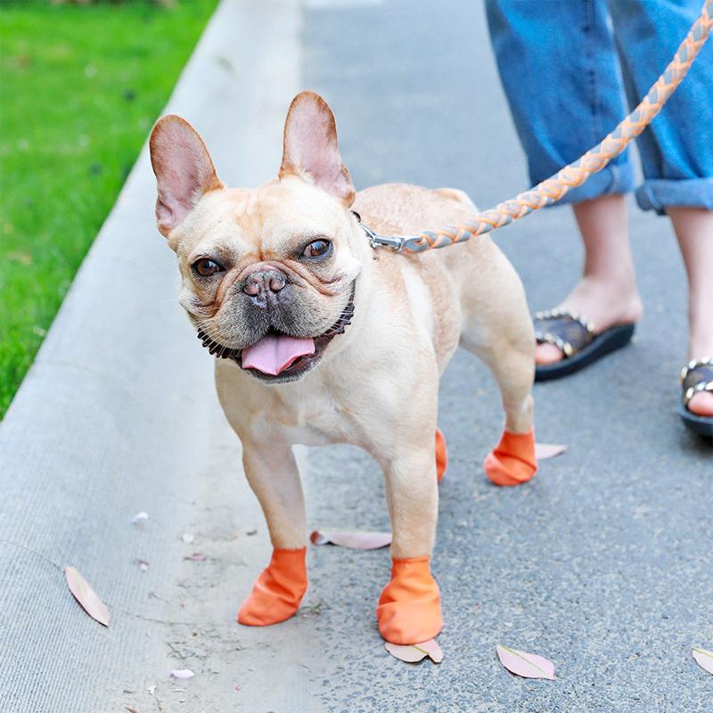 Karnz | PootShield Wasserdichte Hundeschuhe mit Grip und schützendem Komfort
