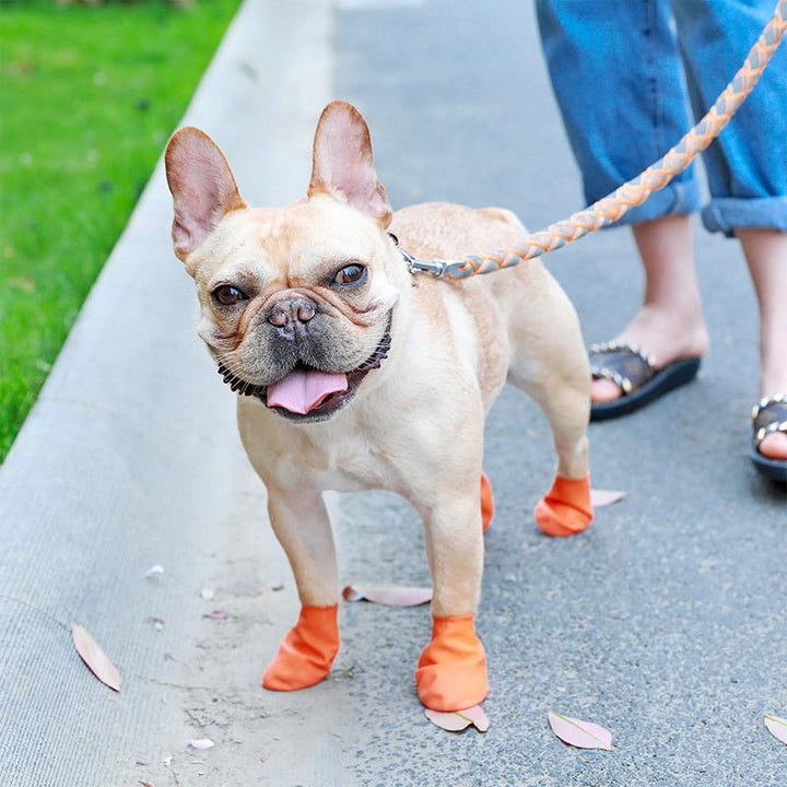 Karnz | PootShield Wasserdichte Hundeschuhe mit Grip und schützendem Komfort