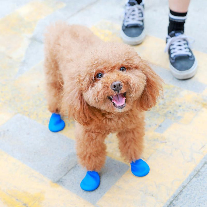 Karnz | PootShield Wasserdichte Hundeschuhe mit Grip und schützendem Komfort