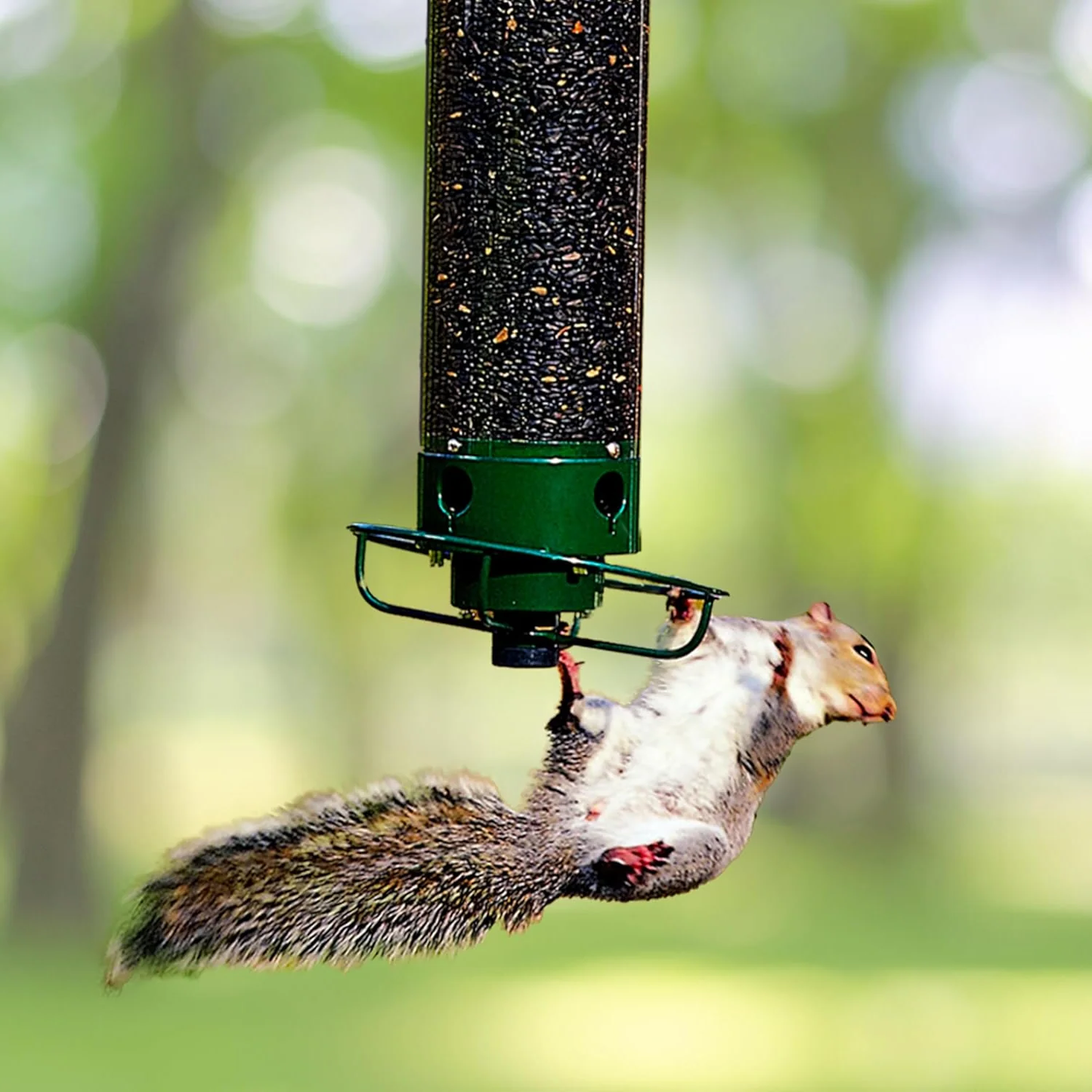 Hängender, eichhörnchensicherer Vogelfutterspender aus Metall für Gärten