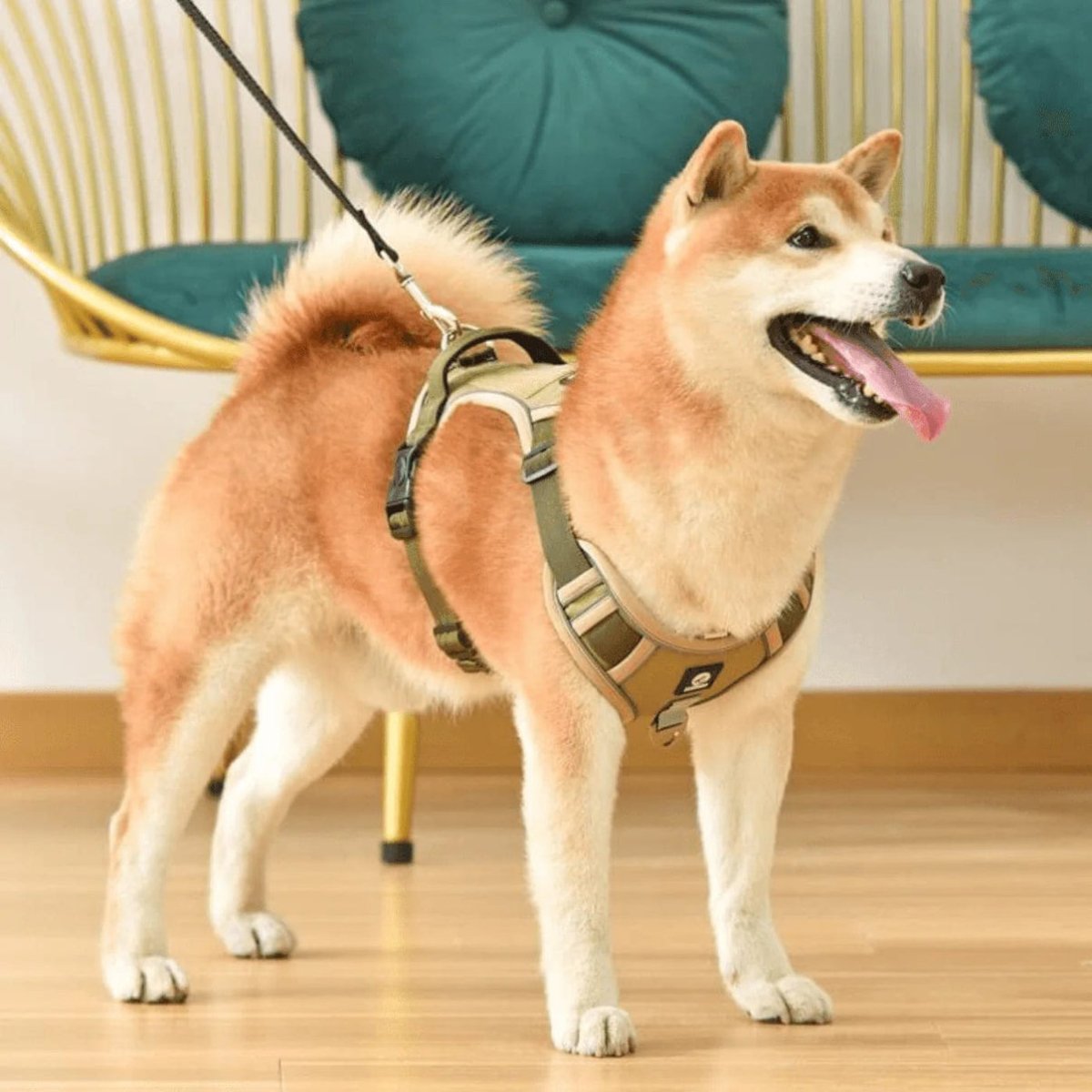 PawsControl - Das ultimative Anti-Zieh-Hundegeschirr