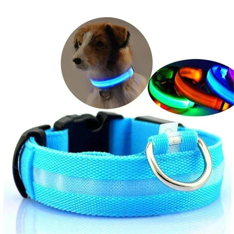 GlowPets LED-Halsband – Sicherheit und Sichtbarkeit für Haustiere