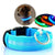 GlowPets LED-Halsband – Sicherheit und Sichtbarkeit für Haustiere
