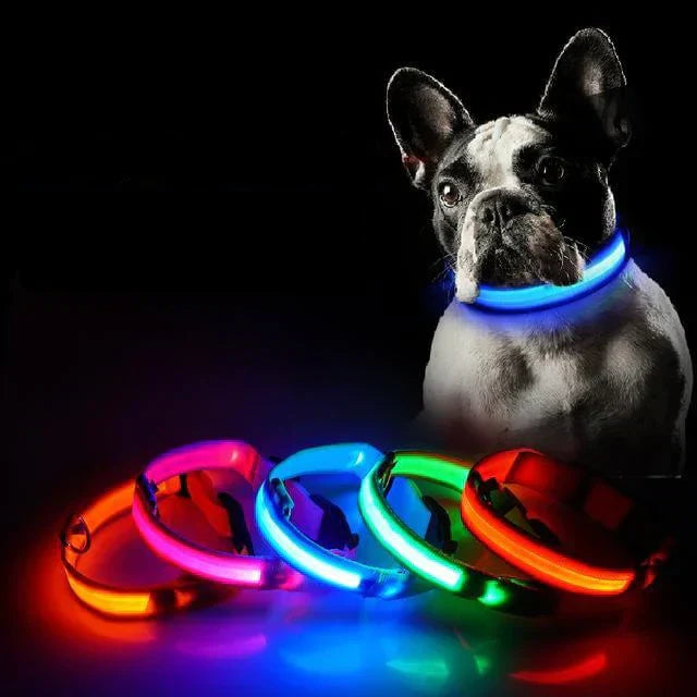 GlowPets LED-Halsband – Sicherheit und Sichtbarkeit für Haustiere