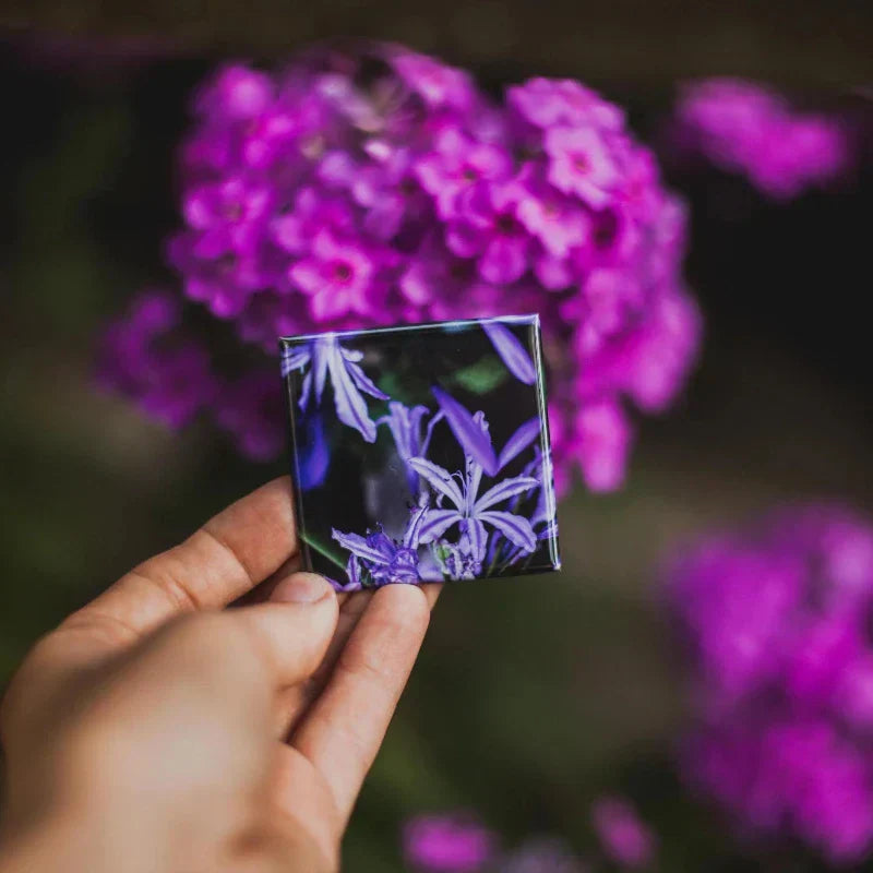 Benutzerdefinierte Foto-Magnete für unvergessliche Momente