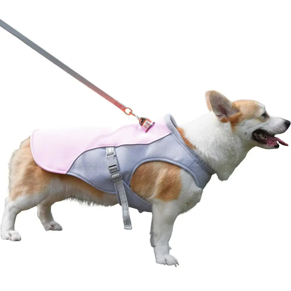 Hundekühlweste für Outdoor-Aktivitäten | Karnz