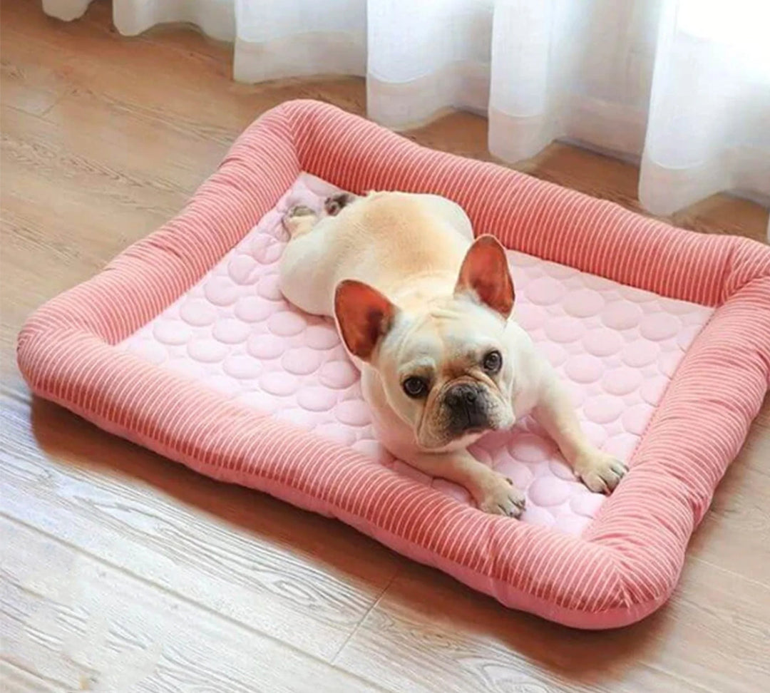 Kühlendes Hundebett mit Eis-Seidenmaterial | Karnz