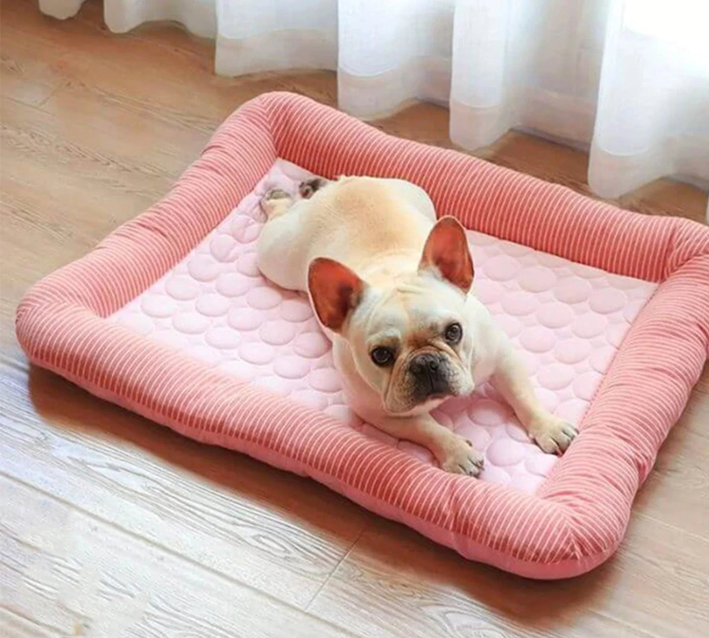 Kühlendes Hundebett mit Eis-Seidenmaterial | Karnz