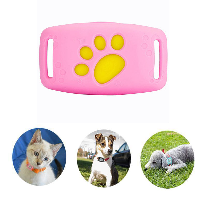 Karnz | Schlankes GPS Katzenhalsband