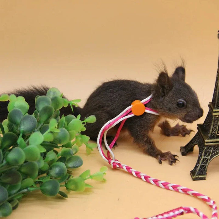 1,4m 2,0m Verstellbare Haustier Hamster Leine Geschirr Seil Gerbil Baumwollseil Geschirr Leine Halsband für Ratte Maus Hamster Haustier Käfig Leine | Karnz