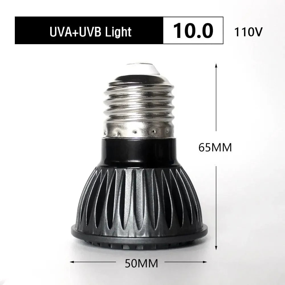 UVA + UVB LED Reptilienlicht Schildkröte Sonnenbadeplattform Vollspektrum Sonnenlampe Sonnenbaden Wärme lampe für Echsen Reptilien und Amphibien | Karnz