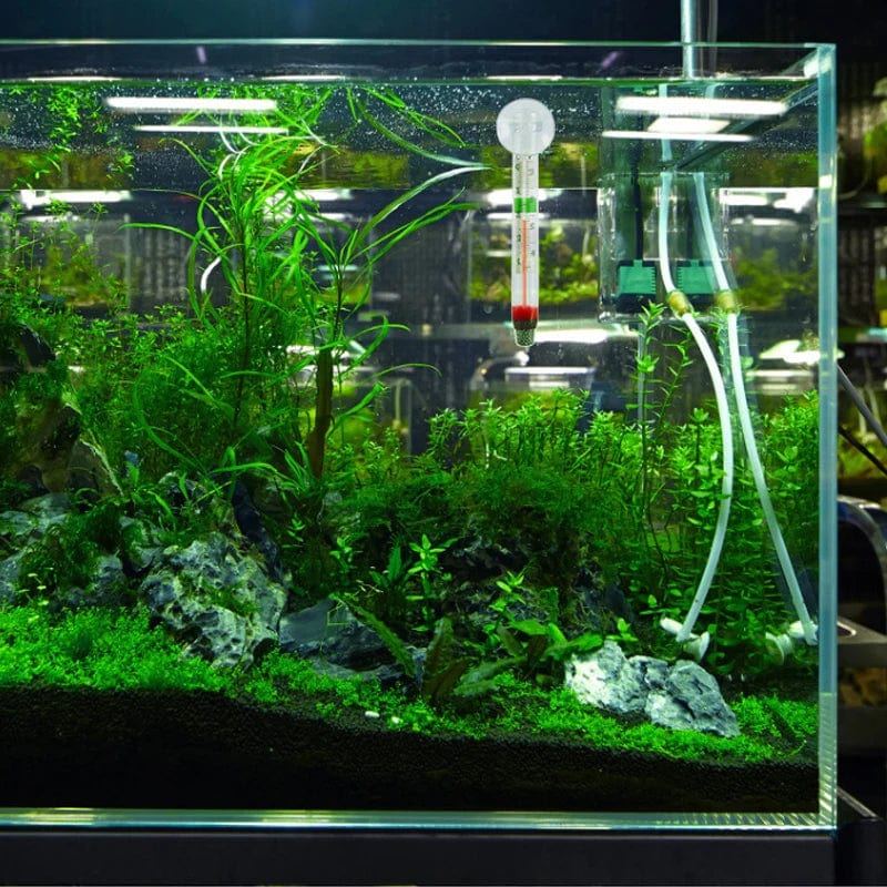 Schwebendes Aquarienthermometer Fischtank Glas Temperaturmesswerkzeug mit Saugnapf Fahrenheit Celsius Zubehör | Karnz