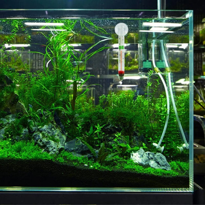 Schwebendes Aquarienthermometer Fischtank Glas Temperaturmesswerkzeug mit Saugnapf Fahrenheit Celsius Zubehör | Karnz