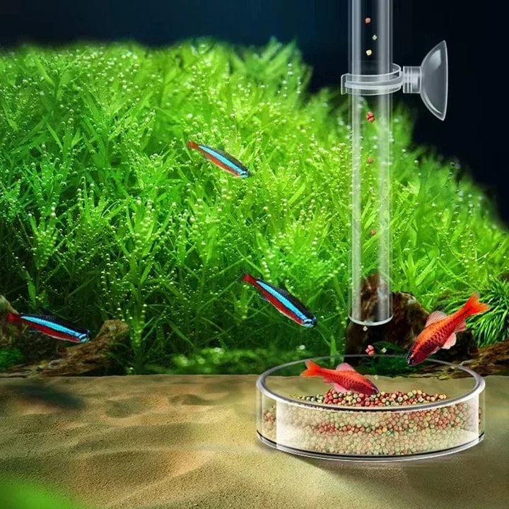 Acryl-Aquarium-Futterrohr-Schüssel Transparenter Fischtank Garnelen Schnecke Garnelenfutter-Futterschüssel Aquarium-Fütterungszubehör | Karnz