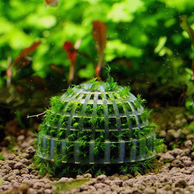 1pc Aquatische Haustierbedarf Dekorationen Aquarium Moosball lebende Pflanzen Filter für Java-Garnelen Fischtank Haustier Fischtank Dekor | Karnz