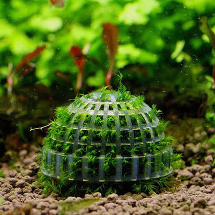 1pc Aquatische Haustierbedarf Dekorationen Aquarium Moosball lebende Pflanzen Filter für Java-Garnelen Fischtank Haustier Fischtank Dekor | Karnz