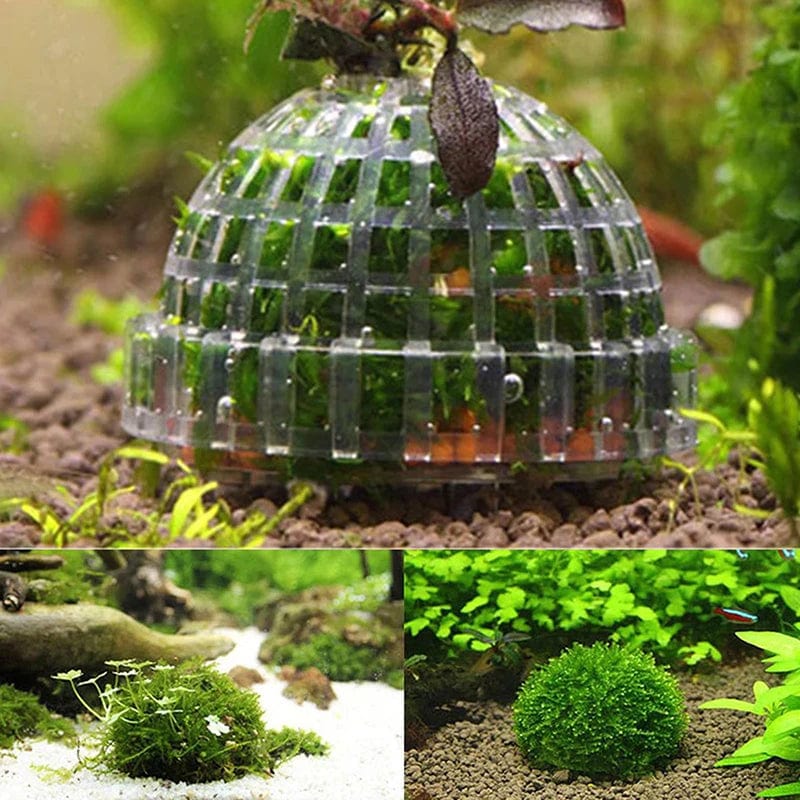 1pc Aquatische Haustierbedarf Dekorationen Aquarium Moosball lebende Pflanzen Filter für Java-Garnelen Fischtank Haustier Fischtank Dekor | Karnz