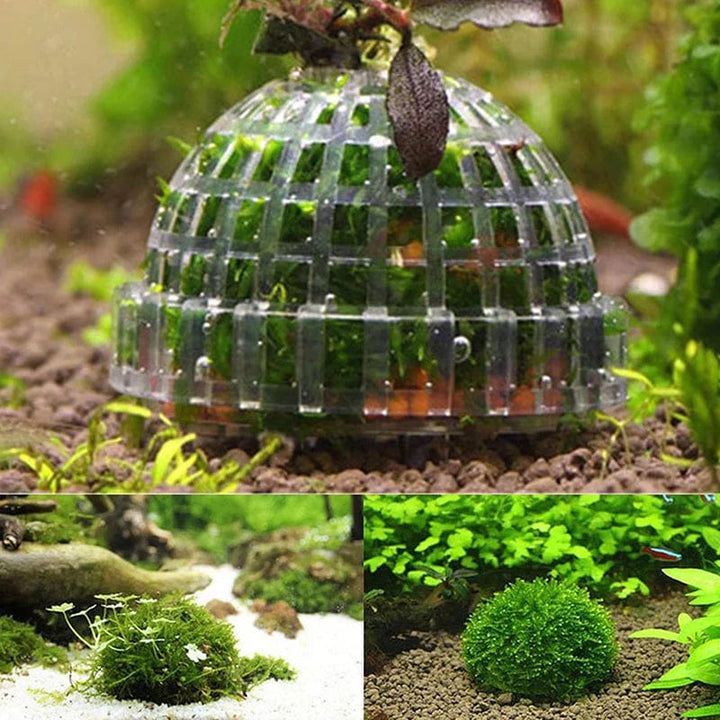 1pc Aquatische Haustierbedarf Dekorationen Aquarium Moosball lebende Pflanzen Filter für Java-Garnelen Fischtank Haustier Fischtank Dekor | Karnz
