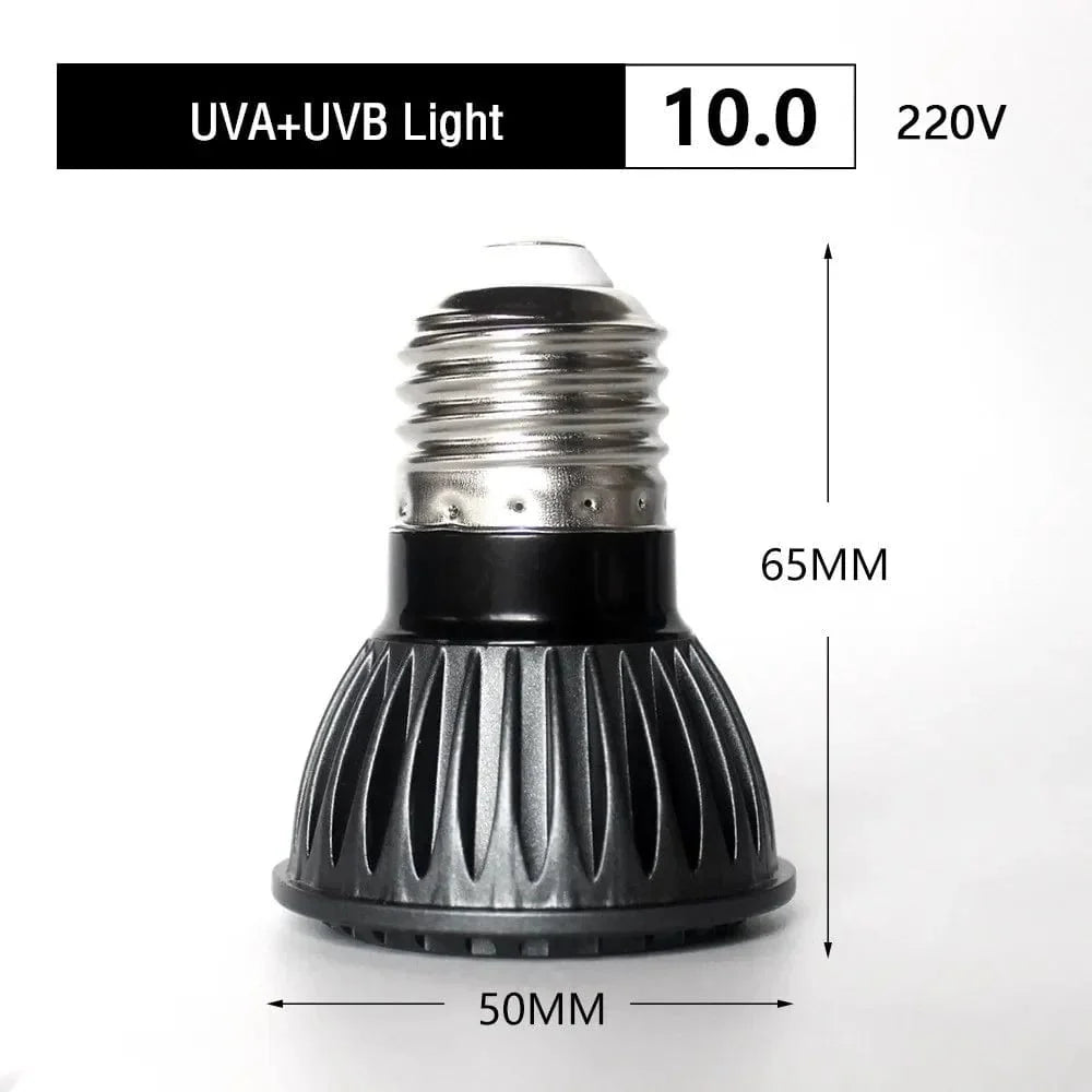 UVA + UVB LED Reptilienlicht Schildkröte Sonnenbadeplattform Vollspektrum Sonnenlampe Sonnenbaden Wärme lampe für Echsen Reptilien und Amphibien | Karnz