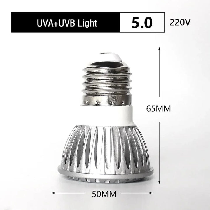 UVA + UVB LED Reptilienlicht Schildkröte Sonnenbadeplattform Vollspektrum Sonnenlampe Sonnenbaden Wärme lampe für Echsen Reptilien und Amphibien | Karnz
