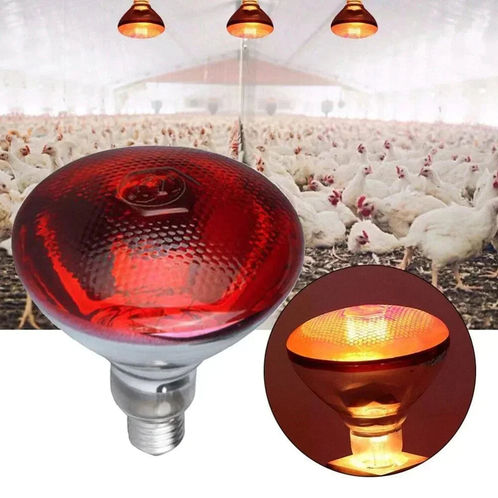 220V Geflügelheizlampe 100/150/200/275W Infrarot-Isolationsheizung für Reptilien Pflanzen Amphibien Haustiere Nutztiere | Karnz