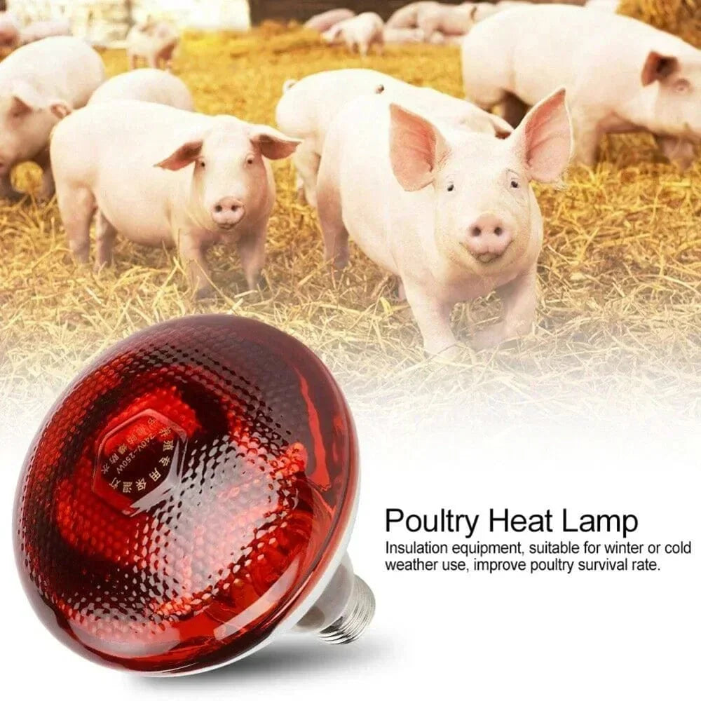 220V Geflügelheizlampe 100/150/200/275W Infrarot-Isolationsheizung für Reptilien Pflanzen Amphibien Haustiere Nutztiere | Karnz