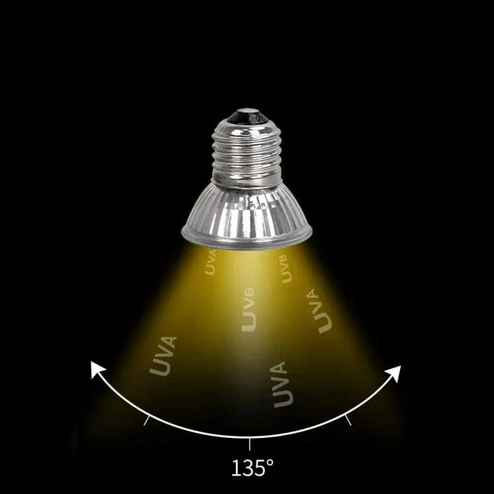 25/50/75W Reptilien Licht UVA+UVB 3.0 120v-220v Haustier Heizlampe Schildkröte Sonnenbrenner Lampe Amphibie Eidechse Temperaturregelung | Karnz