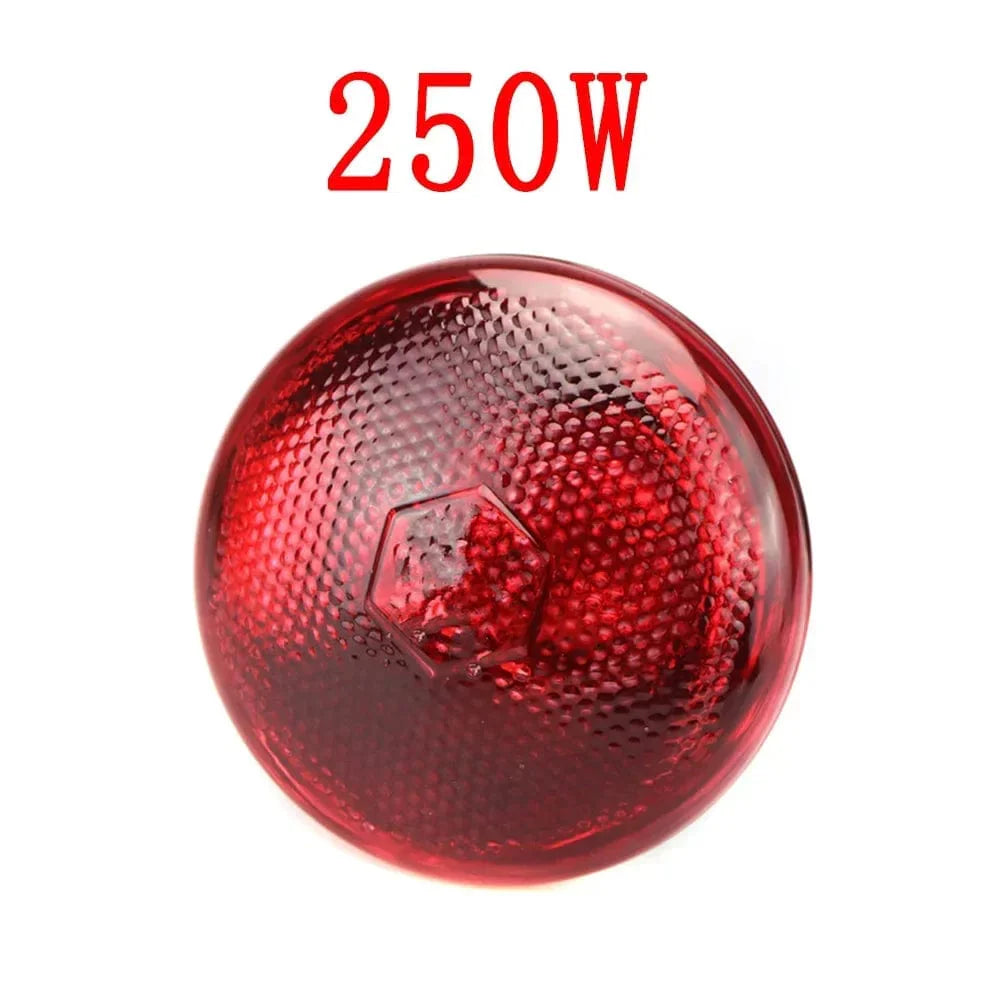 220V Geflügelheizlampe 100/150/200/275W Infrarot-Isolationsheizung für Reptilien Pflanzen Amphibien Haustiere Nutztiere | Karnz