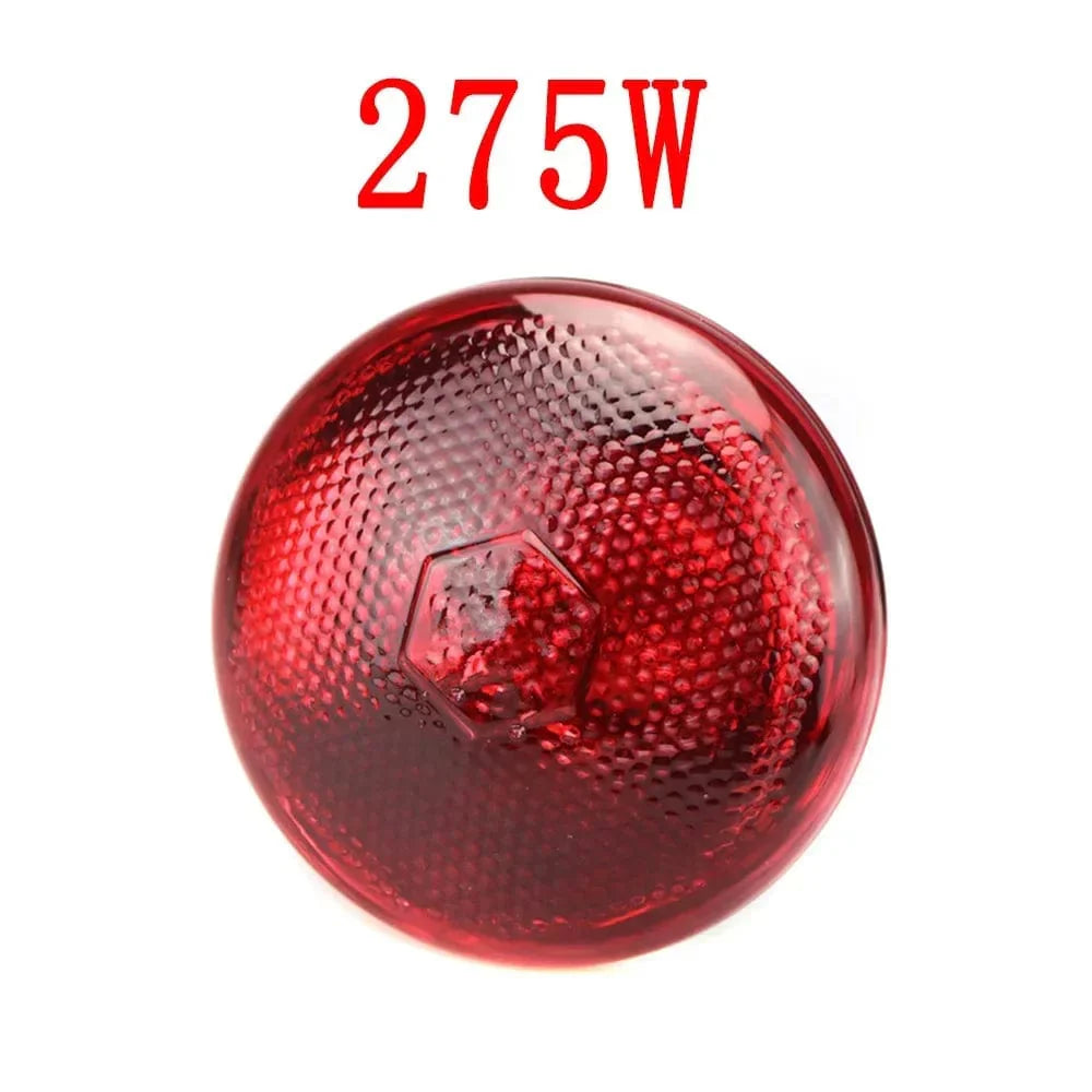 220V Geflügelheizlampe 100/150/200/275W Infrarot-Isolationsheizung für Reptilien Pflanzen Amphibien Haustiere Nutztiere | Karnz